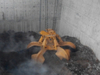 Carbon Steel Electro-hydraulic Grab For Medical Solid Waste